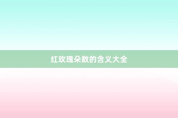 红玫瑰朵数的含义大全