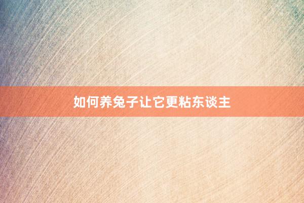 如何养兔子让它更粘东谈主